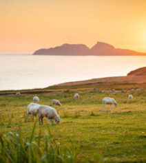 Family enjoying sunset over fields near River Island Hotel in Kerry.