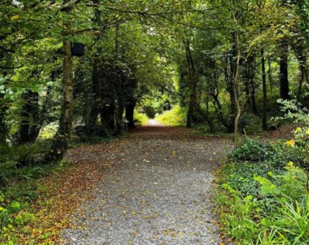 Family enjoys a walk on a lush forest trail near River Island Hotel, Kerry.