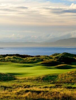 Family enjoying a scenic view of lush green landscape by the sea at River Island Hotel.