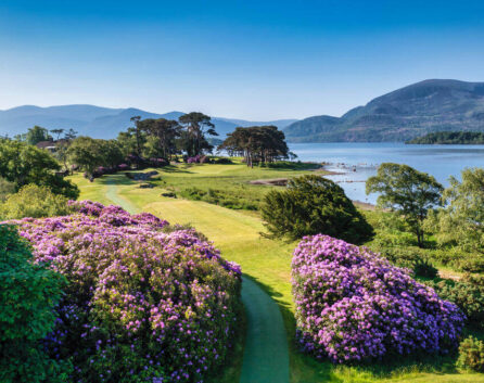 A vibrant garden pathway with a lake and mountains at River Island Hotel, Kerry.
