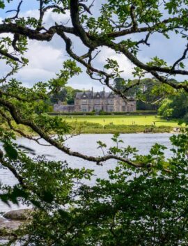 A serene view of River Island Hotel, surrounded by lush greenery and a tranquil river.